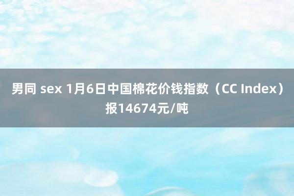 男同 sex 1月6日中国棉花价钱指数（CC Index）报14674元/吨