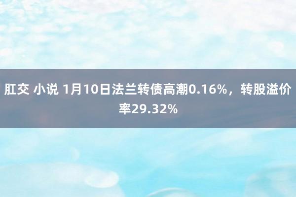 肛交 小说 1月10日法兰转债高潮0.16%，转股溢价率29.32%