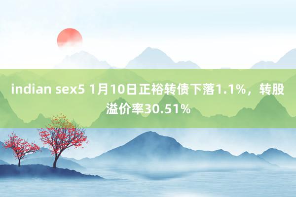 indian sex5 1月10日正裕转债下落1.1%，转股溢价率30.51%