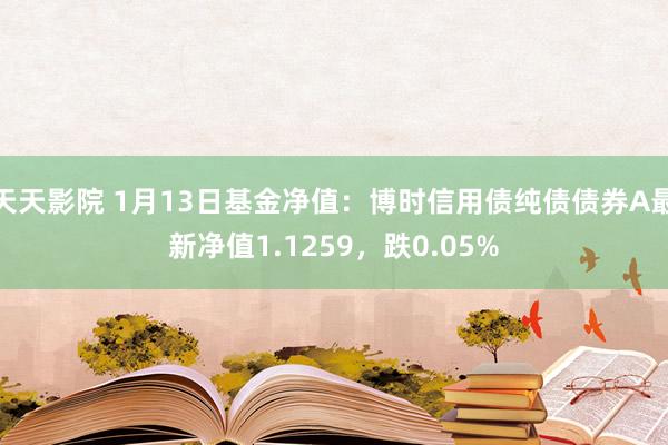 天天影院 1月13日基金净值：博时信用债纯债债券A最新净值1.1259，跌0.05%