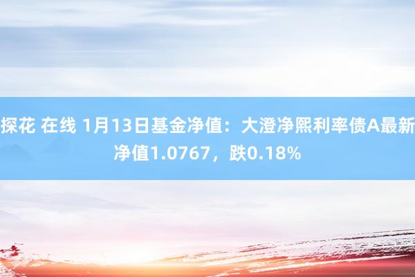 探花 在线 1月13日基金净值：大澄净熙利率债A最新净值1.0767，跌0.18%