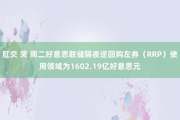 肛交 哭 周二好意思联储隔夜逆回购左券（RRP）使用领域为1602.19亿好意思元