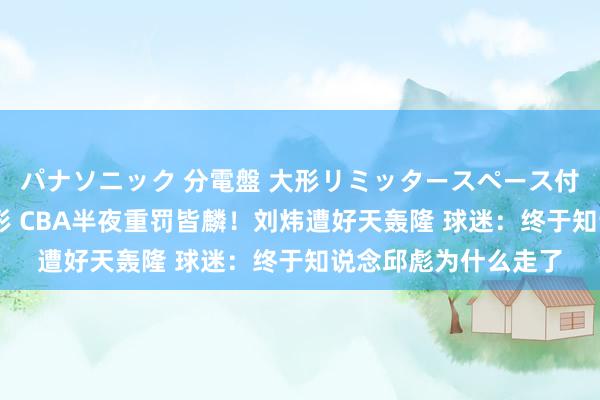 パナソニック 分電盤 大形リミッタースペース付 露出・半埋込両用形 CBA半夜重罚皆麟！刘炜遭好天轰隆 球迷：终于知说念邱彪为什么走了