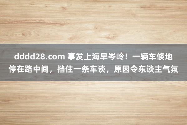 dddd28.com 事发上海早岑岭！一辆车倏地停在路中间，挡住一条车谈，原因令东谈主气氛